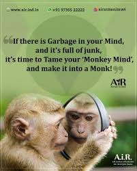 Resultado de imagen para mono humano